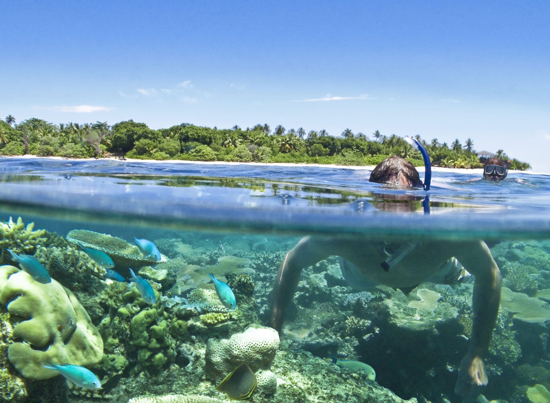 Island Snorkeling